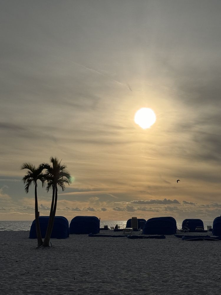 Bongos Beach Bar and Grille