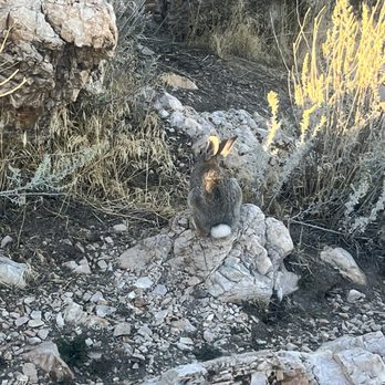 Antelope Island State Park - Hiking Near Me - Syracuse, Utah Antelope Island State Park - Hiking Near Me - Syracuse, Utah