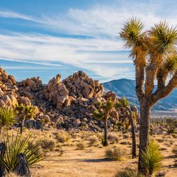Antelope Valley Escrow Services