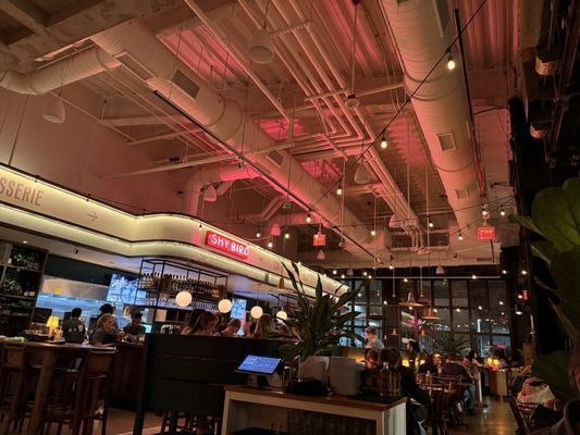 Shy Bird - Fenway by null