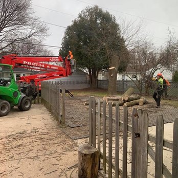 Gollnick & Sons Tree Service - Tree Services Near Me - Cedarburg, Wisconsin Gollnick & Sons Tree Service - Tree Services Near Me - Cedarburg, Wisconsin