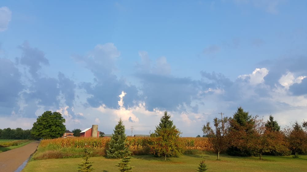 FISCHER VETERINARY CLINIC Updated September 2024 180 W Chicago Rd