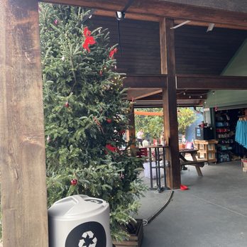 BrewHound Dog Park + Bar - Dog Parks Near Me - Neptune Beach, Florida
