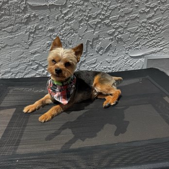 Pacific Pet Grooming - Pet Groomers Near Me Pacific Pet Grooming - Pet Groomers Near Me