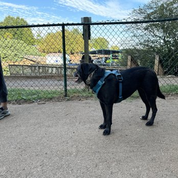 Concord Park - Dog dock! - Dog Parks Near Me - Knoxville, Tennessee Concord Park - Dog dock! - Dog Parks Near Me - Knoxville, Tennessee