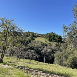 Metta Forest Monastery - The beautiful view