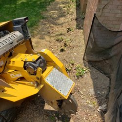 Daily Grind Stump Bros - Shrubs along house ground out. As close as 3 inches from wall/structures.