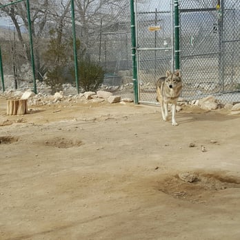 Wolf Mountain Sanctuary - Animal Shelters Near Me - Lucerne Valley, California Wolf Mountain Sanctuary - Animal Shelters Near Me - Lucerne Valley, California