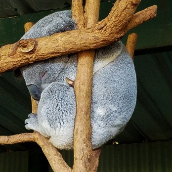 Activity Tours Australia - Tours Near Me - Woonona, NSW
