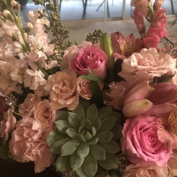 A Special Rose Florist - Florists Near Me - Tampa, Florida A Special Rose Florist - Florists Near Me - Tampa, Florida