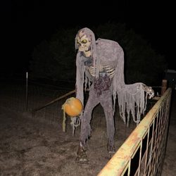 Twisted Hollow Haunt - Welcome to Twisted Hollow Haunt!