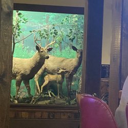 Morris’ Tavern and Restaurant - Taxidermy of a dear family
