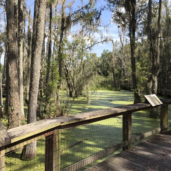 Audubon Swamp Gardens - View from the boardwalk. - Parks Near Me - Charleston, South Carolina Audubon Swamp Gardens - View from the boardwalk. - Parks Near Me - Charleston, South Carolina