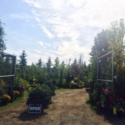Arthur Campbell Nursery