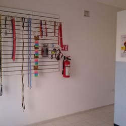 Mascotilandia - Parte de la exhibición de correas.