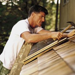 Blue Anchor Roofing & Restoration