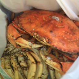 Dungeness Crab Dungeness Crab