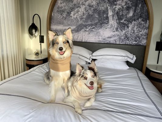 Kimpton Cottonwood Hotel by null