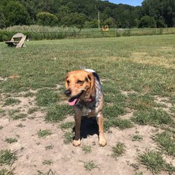 Ithaca Dog Park
