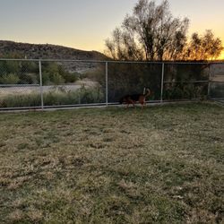 Westside Community Rec Center & Dog Park