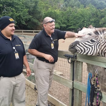 Stanley Steemer - Stanly Steamer guys meeting Hank (donkey) and Speck (zebra) on the way out. - Carpet Cleaning Near Me - San Leandro, California Stanley Steemer - Stanly Steamer guys meeting Hank (donkey) and Speck (zebra) on the way out. - Carpet Cleaning Near Me - San Leandro, California