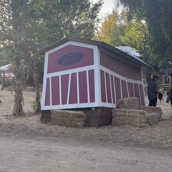 Live Oak Canyon Pumpkin Patch and Christmas Tree Farm - Broken - typical for ford. - Christmas Trees Near Me - Redlands, California Live Oak Canyon Pumpkin Patch and Christmas Tree Farm - Broken - typical for ford. - Christmas Trees Near Me - Redlands, California
