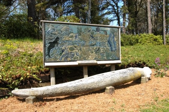 Cape Cod Museum Of Natural History by null