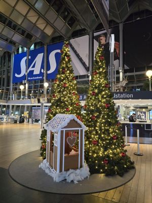 Stockholm Arlanda Airport by null