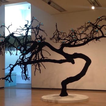 Phoenix Art Museum - Beautiful tree - Art Museums Near Me - Phoenix, Arizona Phoenix Art Museum - Beautiful tree - Art Museums Near Me - Phoenix, Arizona
