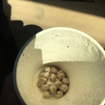 Bruster's Real Ice Cream - Cookie dough milkshake.... - Ice Cream & Frozen Yogurt Near Me - Cypress, California