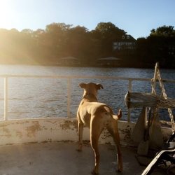 Logan Martin Lake