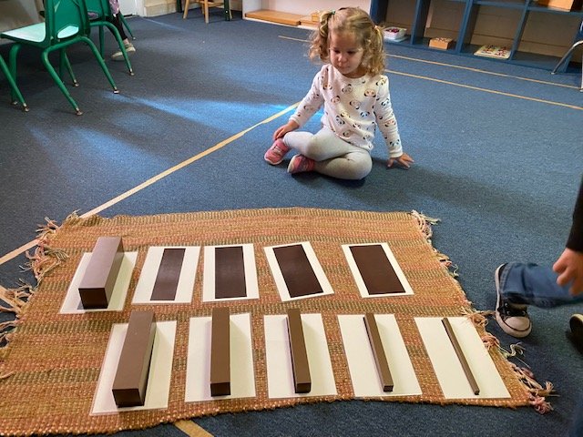 Prodigy Montessori School - childcare center in Dana Point, CA