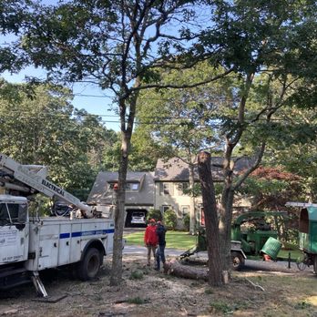 Holbrook House Farm - Getting ready - Tree Services Near Me - Yarmouth, Massachusetts Holbrook House Farm - Getting ready - Tree Services Near Me - Yarmouth, Massachusetts