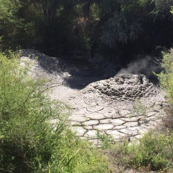 Te Puia - Museums Near Me - Rotorua, BOP