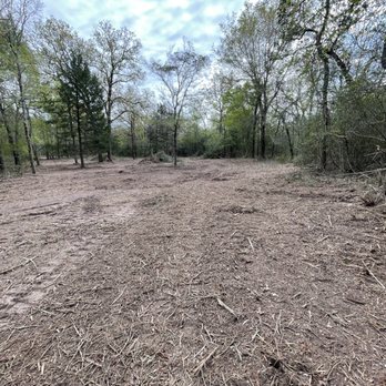 Boggy Creek Contracting - Tree Services Near Me