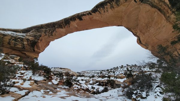 Natural Bridges National Monument by null