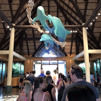 Discovery Cove - Only pic I took before putting everything in a locker and unplugging. Worth it! - Amusement Parks Near Me - Orlando, Florida Discovery Cove - Only pic I took before putting everything in a locker and unplugging. Worth it! - Amusement Parks Near Me - Orlando, Florida