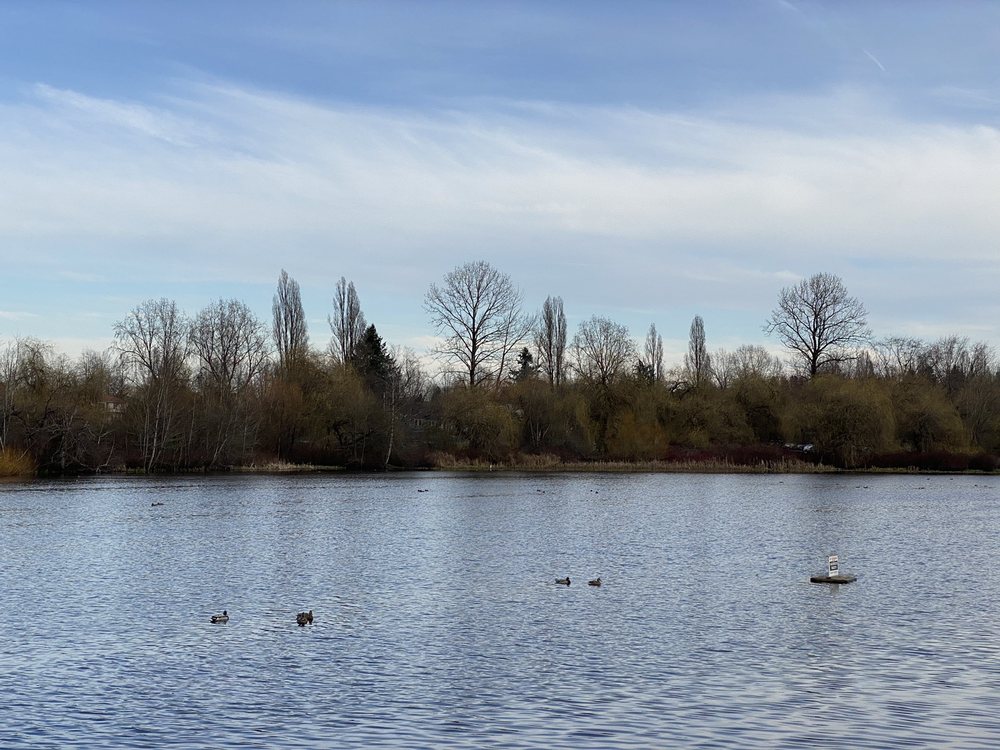 JOHN HENDRY TROUT LAKE PARK Updated September 2024 52 Photos & 40