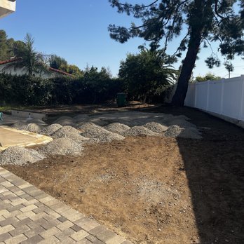 Padilla Tree Service - Large pine tree recently trimmed - Tree Services Near Me Padilla Tree Service - Large pine tree recently trimmed - Tree Services Near Me