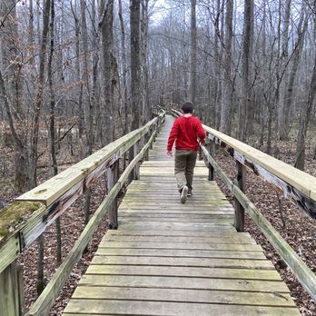 Big Hill Pond State Park - Path to Fire Tower. - Parks Near Me - Pocahontas, Tennessee Big Hill Pond State Park - Path to Fire Tower. - Parks Near Me - Pocahontas, Tennessee