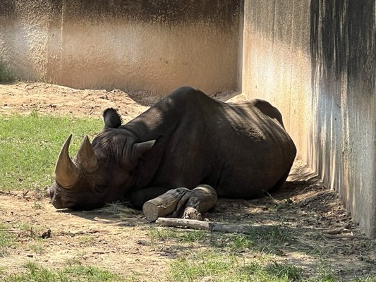 Caldwell Zoo by null