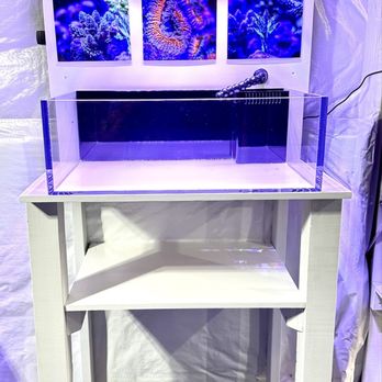Advanced Acrylics - Aquarium Services Near Me - Orange, California Advanced Acrylics - Aquarium Services Near Me - Orange, California