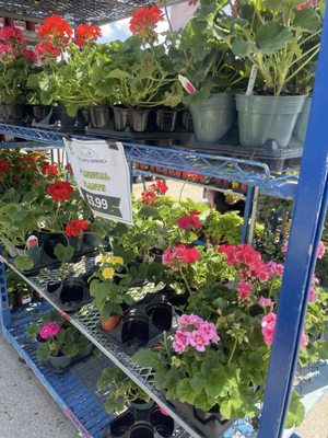 19th Avenue Farmer's Market by null