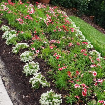 Hollis Garden - Botanical Gardens Near Me - Lakeland, Florida
