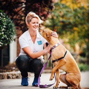 FurryTales - Pet Training Near Me - Fort Lee, New Jersey FurryTales - Pet Training Near Me - Fort Lee, New Jersey