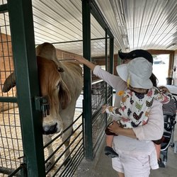 Green Meadows Petting Farm