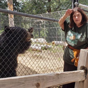 Wildhaven Ranch - Salute Misha - Zoos Near Me - Cedar Glen, California Wildhaven Ranch - Salute Misha - Zoos Near Me - Cedar Glen, California