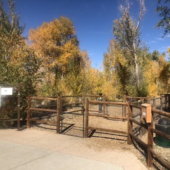 Montrose Dog Park - Dog Parks Near Me - Montrose, Colorado Montrose Dog Park - Dog Parks Near Me - Montrose, Colorado