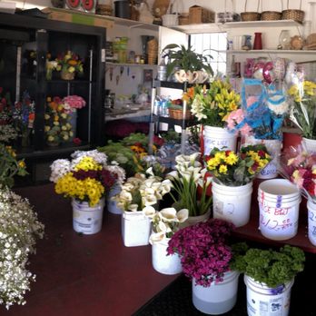 Color View Floral - Florists Near Me - Ventura, California Color View Floral - Florists Near Me - Ventura, California