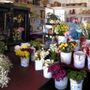 Photo of Color View Floral